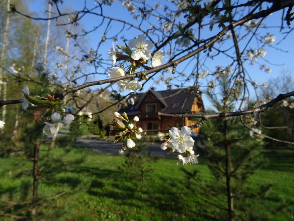 Potoczówka Apartamenty Rzyki Exterior foto